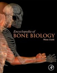 Enlarge image Cover: Encyclopedia of Bone Biology - Academic Press