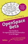 Cover: OpenSpace Beta - Vahlen