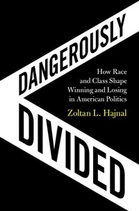 Abbildung von: Dangerously Divided - Cambridge University Press