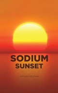 Cover: Sodium Sunset - Austin Macauley Publishers