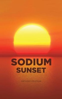 Enlarge image Cover: Sodium Sunset - Austin Macauley Publishers