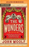 Cover: The Wonders - Brilliance Audio