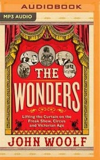 Enlarge image Cover: The Wonders - Brilliance Audio