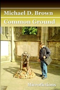 Cover: Common Ground - Lulu.com