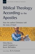Cover: Biblical Theology According to the Apostles - Apollos