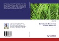 Cover: Genetic studies in rice (Oryza sativa L.) - LAP Lambert Academic Publishing