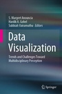 Cover: Data Visualization - Springer
