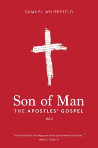 Abbildung von: Son of Man: The Apostles' Gospel - Son of Man