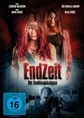 Cover: Endzeit - Lighthouse Home Entertainment