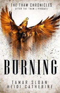 Enlarge image Cover: Burning - Sequel House