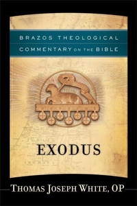 Enlarge image Cover: Exodus - Brazos Press, Div of Baker Publishing Group