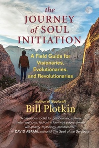 Enlarge image Cover: The Journey of Soul Initiation - New World Library