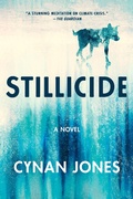 Cover: Stillicide - Catapult