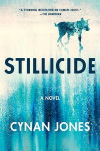 Enlarge image Cover: Stillicide - Catapult