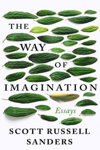 Enlarge image Cover: The Way of Imagination - Counterpoint