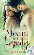Cover: Meant To Be Family - Limitless Publishing, LLC
