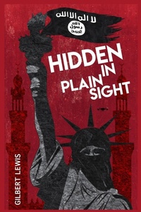 Enlarge image Cover: Hidden in Plain Sight - Dorrance Publishing Co.