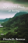 Cover: A Different Shade of Seeing - Linellen Press
