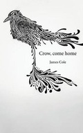 Cover: Crow, come home - Verbaleyze Press