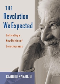 Enlarge image Cover: The Revolution We Expected - Synergetic Press Inc.,U.S.