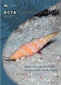 Cover: News on Costellariidae (Gastropoda: Muricoidea) - ConchBooks