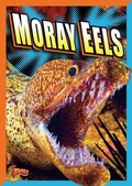 Cover: Moray Eels - Black Rabbit Books