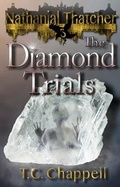 Cover: The Diamond Trials - BLUE DOT BOOKS