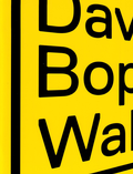 Cover: Dave Bopp: Wallhack - EnBW AG