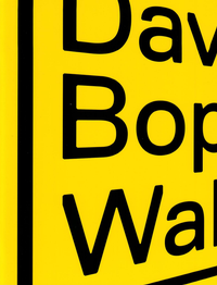 Enlarge image Cover: Dave Bopp: Wallhack - EnBW AG