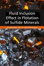 Cover: Fluid Inclusion Effect in Flotation of Sulfide Minerals - Elsevier