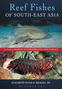Abbildung von: Reef Fishes of South-East Asia - Bloomsbury Wildlife