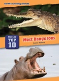 Cover: Most Dangerous - Red Chair Press