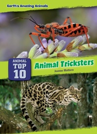 Enlarge image Cover: Animal Tricksters - Red Chair Press