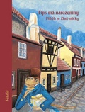 Cover: Fips m&aacute; narozeniny - Vitalis