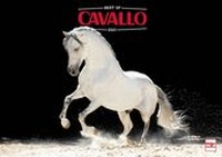 Abbildung von: Best of Cavallo 2021 - Müller Rüschlikon