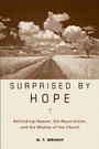 Cover: Surprised by Hope - HarperPaperbacks