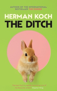Enlarge image Cover: The Ditch - Picador