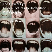 Enlarge image Cover: The Critical Eye - Intellect Books