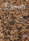 Cover: Elemente des Lebens - Feiyr