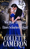 Cover: Wie man das Herz eines Schurken z&auml;hmt - Babelcube Inc