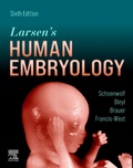 Bild: Larsen's Human Embryology - Elsevier