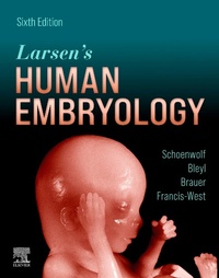 Bild: Larsen's Human Embryology - Elsevier