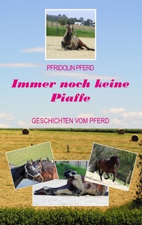 Abbildung von: Immer noch keine Piaffe - BoD - Books on Demand