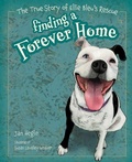Cover: Finding a Forever Home - Susan Tarrant