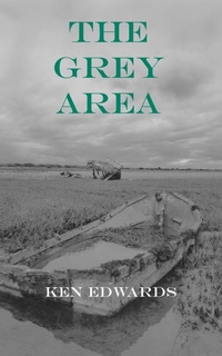 Enlarge image Cover: The Grey Area - Grand Iota