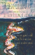 Cover: Between Sleeping & Waking - Lost Horse Press