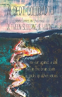 Enlarge image Cover: Between Sleeping & Waking - Lost Horse Press