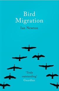 Enlarge image Cover: Bird Migration - William Collins