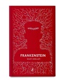Cover: Frankenstein - Puffin Classics