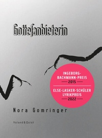 Abbildung von: Gottesanbieterin - Verlag Voland & Quist